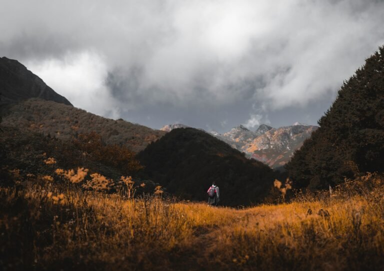 Druk Path Trek